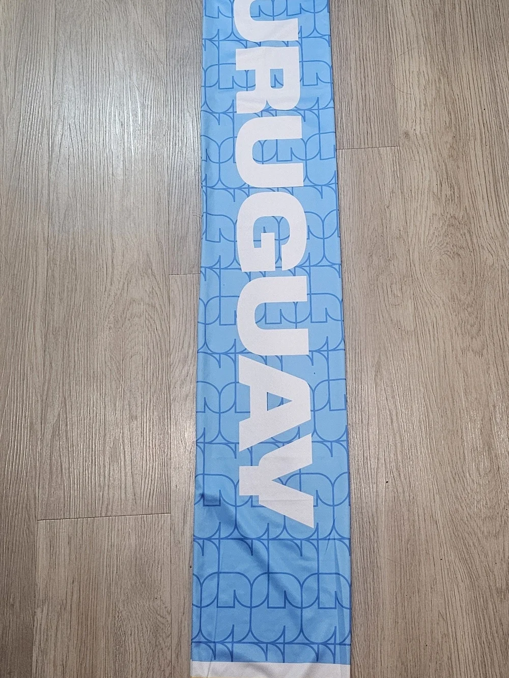 FiFA World Cup Sky Blue & Yellow Supporter Scarf